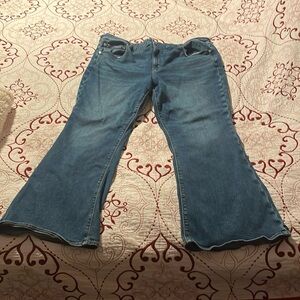 American eagle plus size jeans